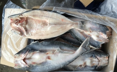 進(jìn)口巴沙魚(yú)清關(guān)代理一點(diǎn)都不難，只要你準(zhǔn)備好這些資料