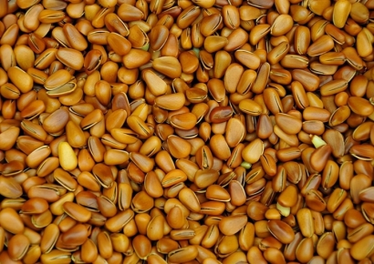 「食品進口」上海報關公司|阿富汗松子進口清關案例