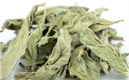 干薄荷葉進口報關的流程是怎樣的？