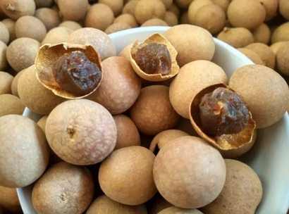 上海龍眼干進(jìn)口報(bào)關(guān)公司哪家好-18年清關(guān)經(jīng)驗(yàn)