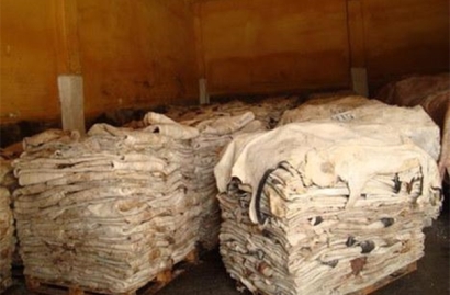 鹽濕皮進口清關的流程以及所需資料，請查收!