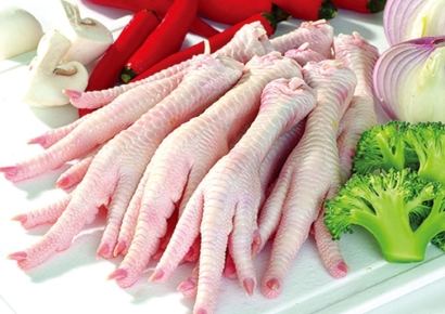 巴西進口雞爪報關怎么操作？進口清關流程