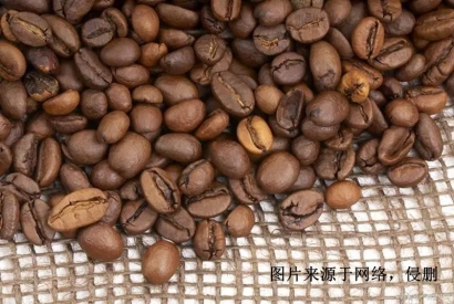 印尼進口報關(guān)行哪家好？印度尼西亞可可豆清關(guān)資料