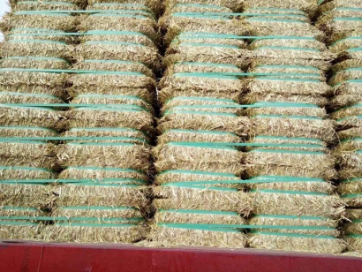 澳大利亞燕麥草進(jìn)口報關(guān)資料_飼料清關(guān)注意事項