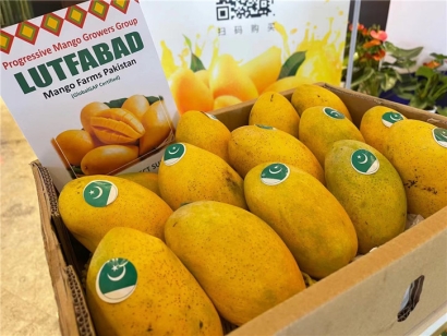 進(jìn)口菲律賓芒果報關(guān)公司:芒果報關(guān)公司