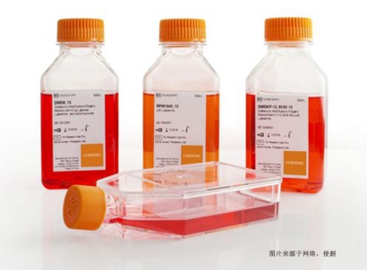 德國細(xì)胞培養(yǎng)試劑進口報關(guān)資料_上海空運生物試劑