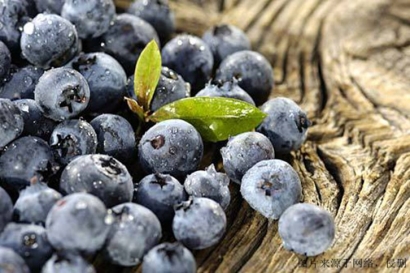 食品進口報關單證，藍莓濃縮粉怎么進口？