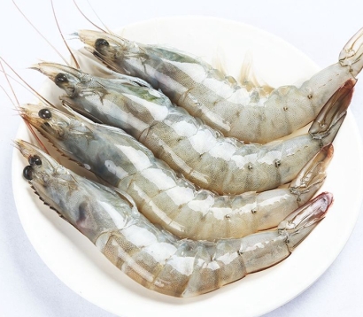 天津進(jìn)口印度青蝦清關(guān)資料_冷凍水產(chǎn)品報(bào)關(guān)指南