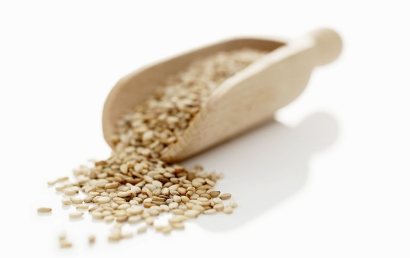 廣州芝麻進(jìn)口清關(guān)代理服務(wù)