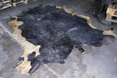 美國牛皮進(jìn)口報關(guān)費(fèi)用_牛皮皮革進(jìn)口清關(guān)注意事項(xiàng)