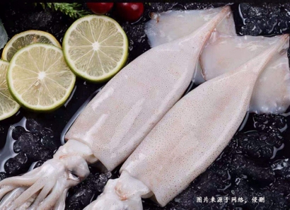巴基斯坦魷魚進(jìn)口報(bào)關(guān)資料到上海洋浦港冷凍魚案例