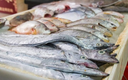 進口水產(chǎn)品清關出示什么資料才能順利完成