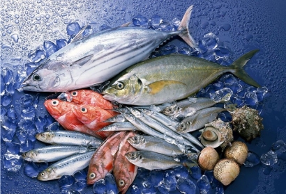 美國冷凍魚水產(chǎn)品進(jìn)口清關(guān)關(guān)稅_青島港水產(chǎn)品報(bào)關(guān)