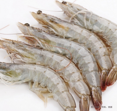 厄瓜多爾南美白蝦進口報關資料到天津水產品案例