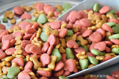 進口寵物食品報關(guān)_解讀全面的流程與要點