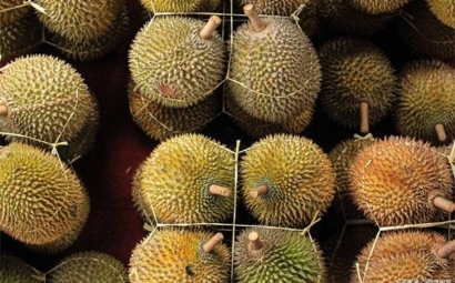 進(jìn)口泰國(guó)榴蓮報(bào)關(guān)提前準(zhǔn)備好這些資料，一點(diǎn)都不難