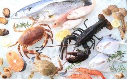 進(jìn)口海鮮報(bào)關(guān)