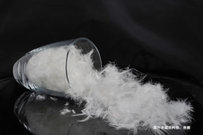 法國水洗羽絨羽毛進口報關資料_法國準入水洗羽毛企業