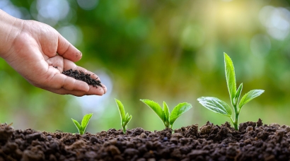 天津化肥進口報關代理