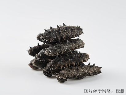 廣州進(jìn)口越南仿刺參清關(guān)流程-19年冷凍水產(chǎn)品報關(guān)行