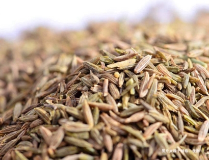 上海枯茗子進口清關(guān)流程：如何順利引入國內(nèi)市場？