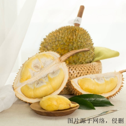 深圳進(jìn)口泰國榴蓮報關(guān)清關(guān)_泰國榴蓮海運(yùn)進(jìn)口公司