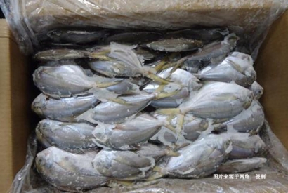 厄瓜多爾冷凍鯧魚進(jìn)口報(bào)關(guān)費(fèi)用到佛山代理水產(chǎn)品案例