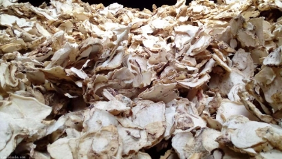 印尼魔芋可以進口嗎？魔芋干進口報關準入國