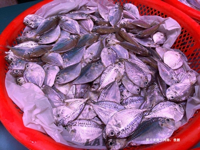 厄瓜多爾到佛山南海冷凍葉子魚(yú)進(jìn)口報(bào)關(guān)流程費(fèi)用