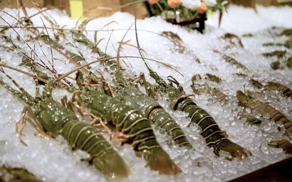 海鮮進(jìn)口清關(guān)