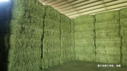 進(jìn)口加拿大苜蓿草報(bào)關(guān)資料_牲畜飼料通關(guān)檢疫要求