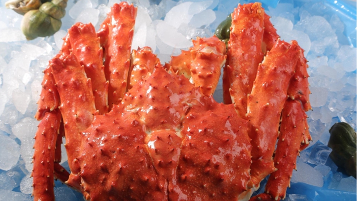 俄羅斯進口帝王蟹報關(guān)資料 俄羅斯進口帝王蟹報關(guān)資料