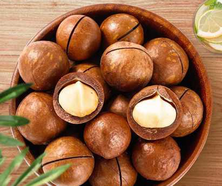 澳大利亞夏威夷果進(jìn)口報(bào)關(guān)手續(xù) 澳大利亞夏威夷果進(jìn)口報(bào)關(guān)手續(xù)