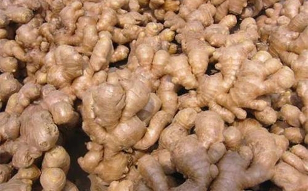 【生姜進(jìn)口報(bào)關(guān)代理公司】告訴你生姜進(jìn)口流程 生姜進(jìn)口報(bào)關(guān)代理公司