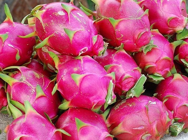 1631527335863669.jpg 火龍果進(jìn)口清關(guān)_副本.jpg