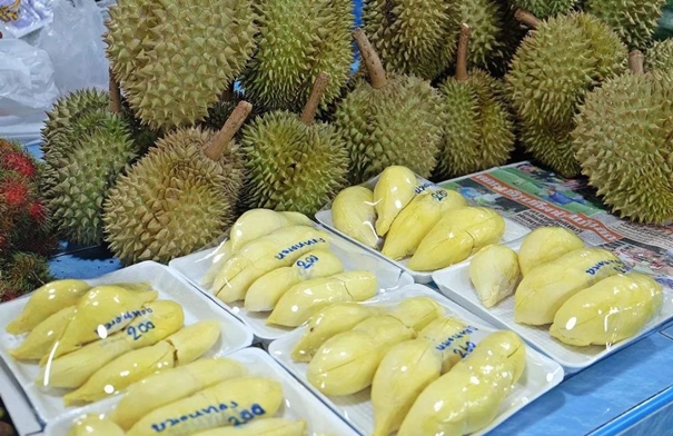 1646726602411396.jpg 進口泰國新鮮榴蓮報關_副本.jpg