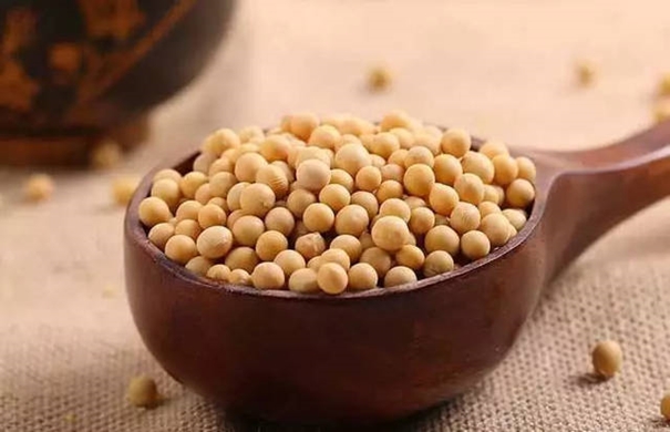 1635500809646155.jpg 青島港大豆清關(guān)_副本.jpg