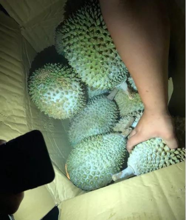 1637923437339410.jpg 泰國進口榴蓮清關公司_副本.jpg