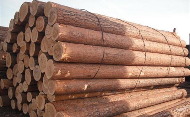 從歐洲進口木材清關這樣做!進口木材是這樣的 歐洲進口木材清關