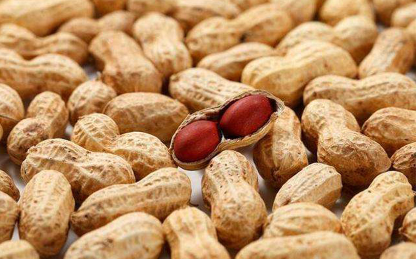 1605668209320473.jpg 農(nóng)產(chǎn)品進(jìn)口報(bào)關(guān)