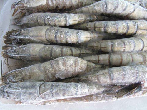 1577409209369731.jpg 海鮮進(jìn)口報(bào)關(guān)代理公司