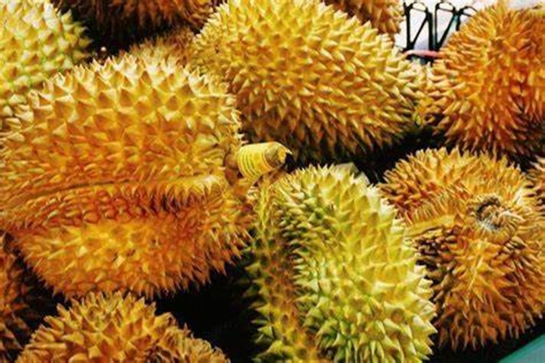 1646817456798811.jpg 機(jī)場進(jìn)口泰國榴蓮報(bào)關(guān)_副本.jpg