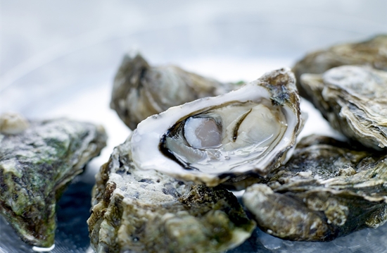 1599702606338492.jpg 生蠔進(jìn)口清關(guān)代理