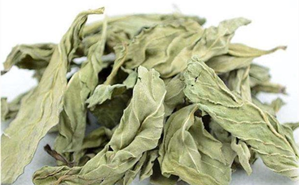 干薄荷葉進口報關(guān)的流程是怎樣的? 干薄荷葉進口報關(guān)