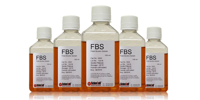 1595468629645545.png 胎牛血清進(jìn)口報(bào)關(guān)