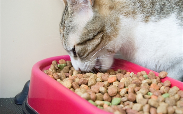 1609231861162226.jpg VCG41N675250506_副本.jpg